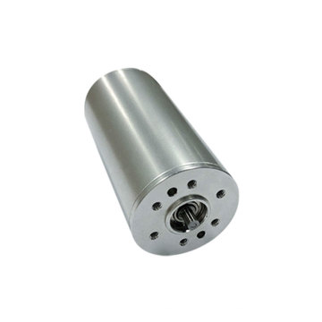 low voltage 12 dc brushless motor 12v